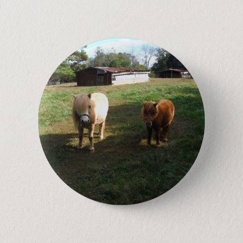 Brown Blond Two Miniature Horses Little Pony  Button