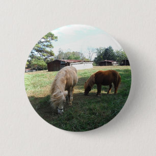 Brown Blond, Two Miniature Horses, "Little Pony " Pinback Button