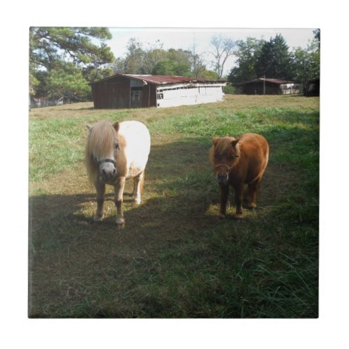 Brown Blond Two Miniature Horses Little Pony  Tile