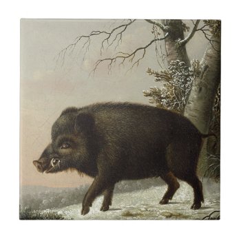 Brown Boar Pig Vintage Fine Art Hunting Painting Tile by ThatShouldbeaShirt at Zazzle