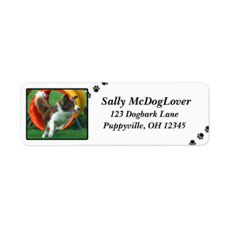 Brown Border Collie Agility Label