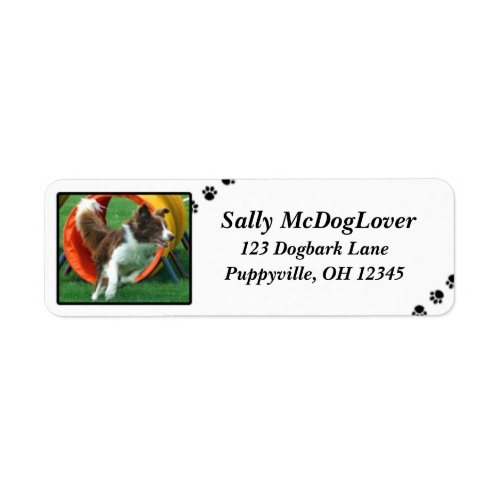 Brown Border Collie Agility Label