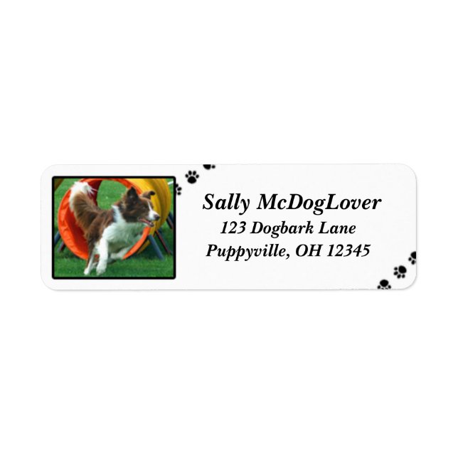Brown Border Collie Agility Label (Front)