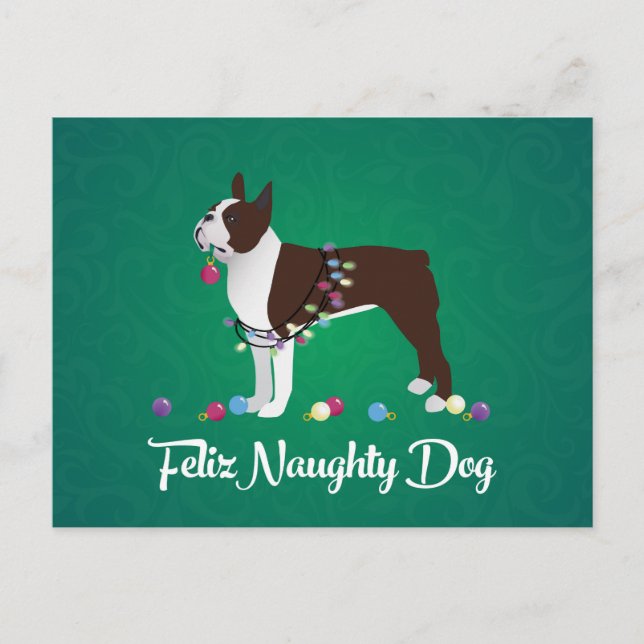 Brown Boston Terrier Feliz Naughty Dog Design Postcard (Front)