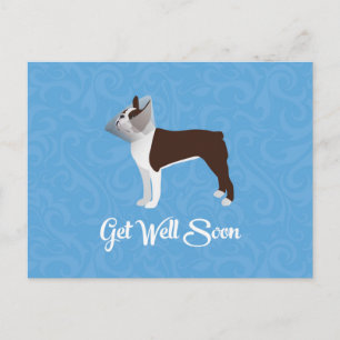 Brown Boston Terrier Get Well Soon Design Postcard
