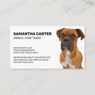 Brown Boxer Dog Sitting Business Card