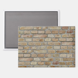Brown Brick Wall A Novelty Design  Magnet