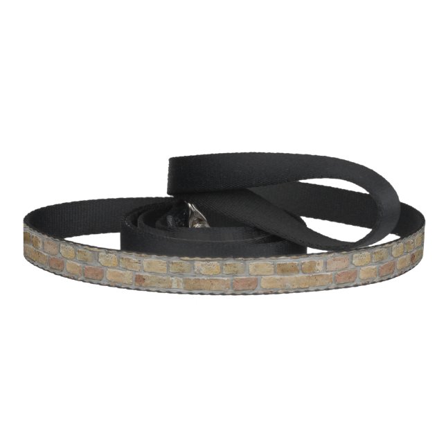 Brown Brick Wall A Novelty Design  Pet Leash (Handle)