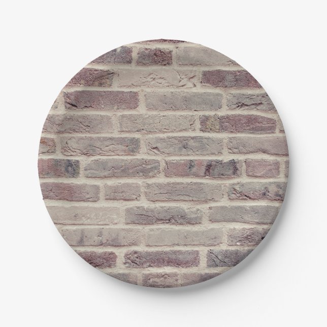 Brown Brick Wall Paper Plates (Front)