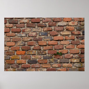 Brown brick wall poster