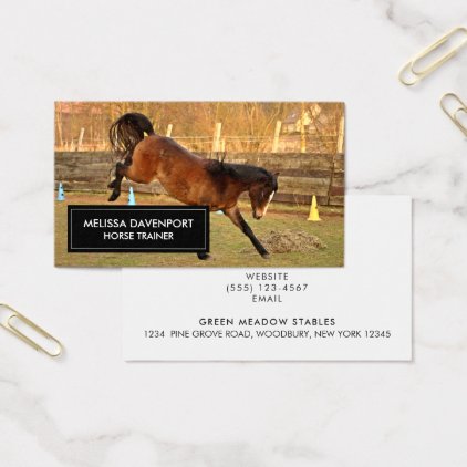 Brown Bucking Horse Photograph Playful and Wild Business Card