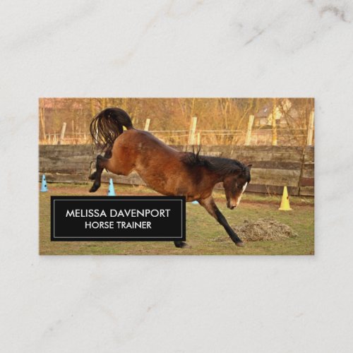 Brown Bucking Horse Photograph Playful and Wild Business Card