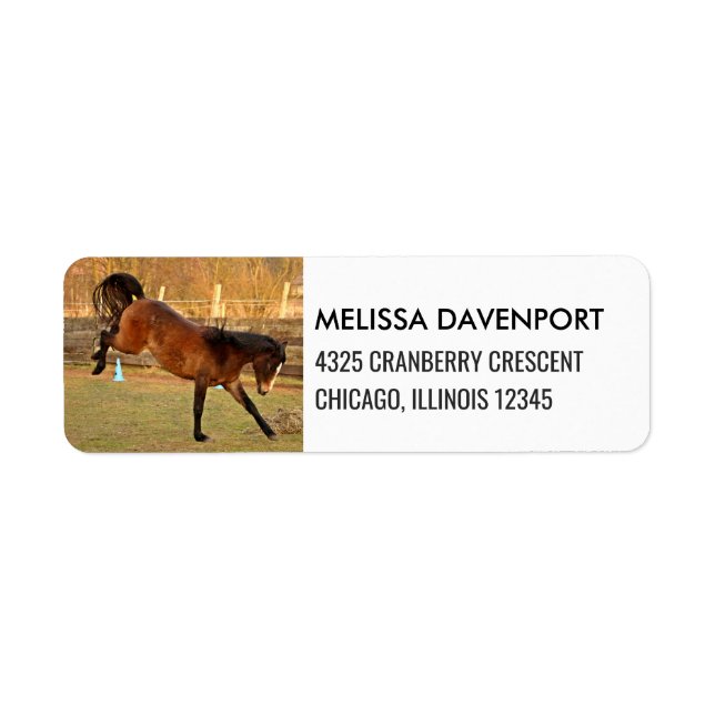 Brown Bucking Horse Photograph Playful and Wild Label (Front)