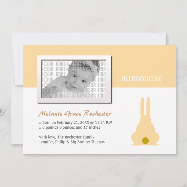 Brown Bunny Birth Announcement (Front)