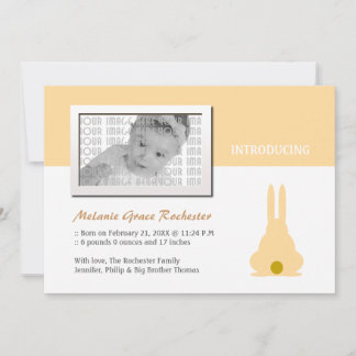 Brown Bunny Birth Announcement