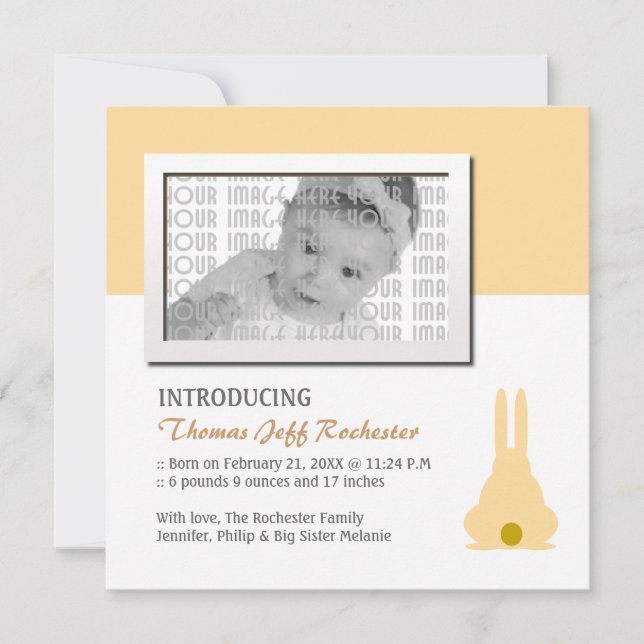 Brown Bunny Birth Announcement (Front)