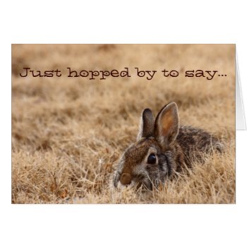 Brown Bunny Hi Card by KKHPhotosVarietyShop at Zazzle