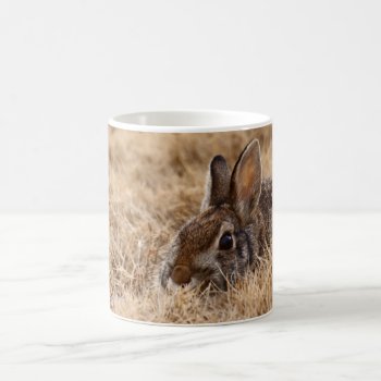 Brown Bunny Mug by KKHPhotosVarietyShop at Zazzle