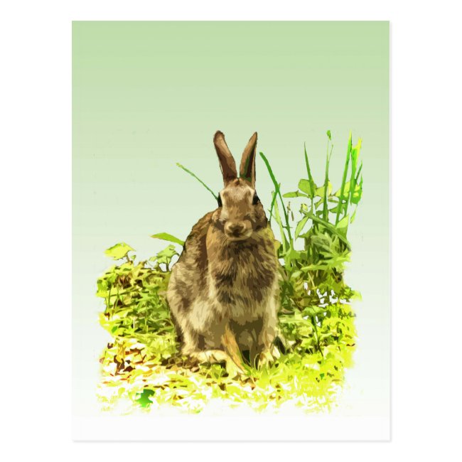 Brown Bunny Rabbit in Green Grass Postcard