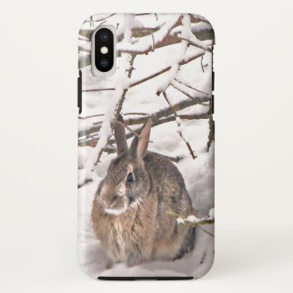 Brown Bunny Rabbit Seeking Shelter iPhone X Case