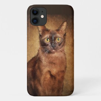Brown Burmese Cat Iphone 11 Case by ironydesignphotos at Zazzle