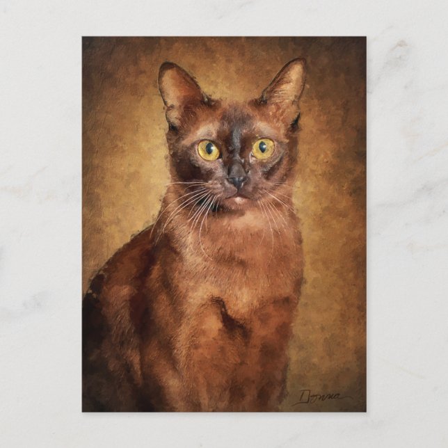 Brown Burmese Cat Holiday Postcard (Front)