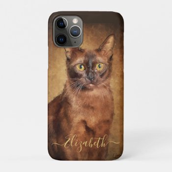 Brown Burmese Cat Portrait Iphone 11 Pro Case by ironydesignphotos at Zazzle