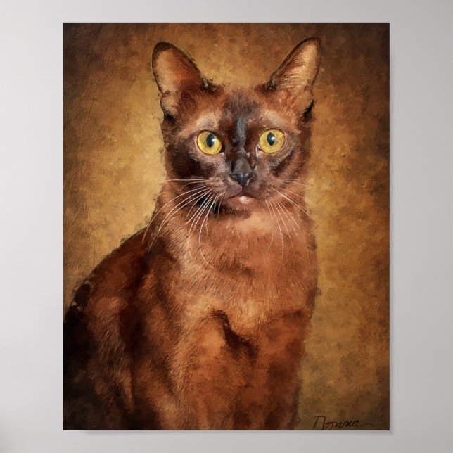 Brown Burmese Cat Poster (Front)