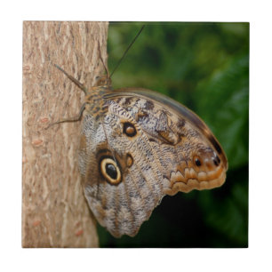 Brown Butterfly Animal Ceramic Tile