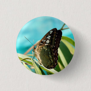 Brown Butterfly Closed Wings Button