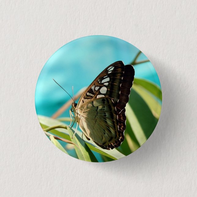 Brown Butterfly Closed Wings Button (Front)