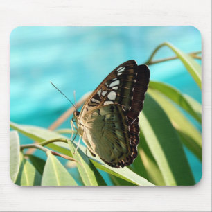 Brown Butterfly Closed Wings Mouse Pad