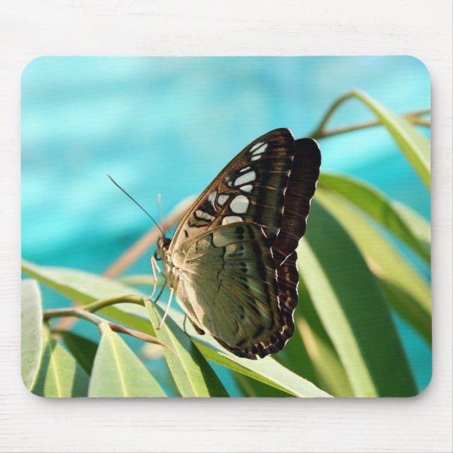Brown Butterfly Closed Wings Mouse Pad (Front)