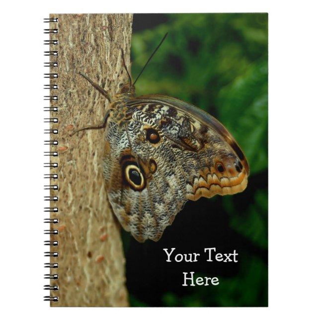 Brown Butterfly Nature Art Notebook (Front)