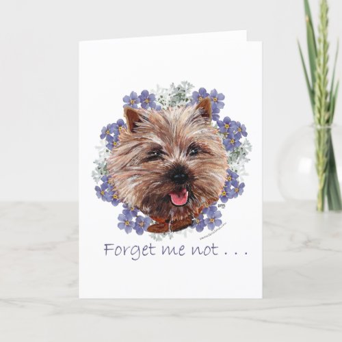 Brown Cairn Terrier Forget_me_not Card