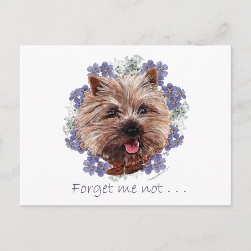 Brown Cairn Terrier Forget_me_not Postcard