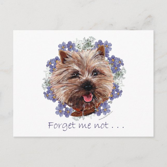 Brown Cairn Terrier Forget-me-not Postcard (Front)