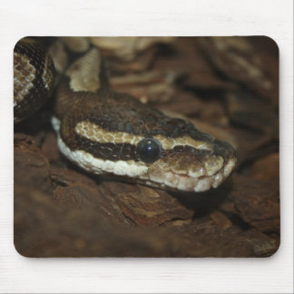 Brown Carpet Python Mouse Pad