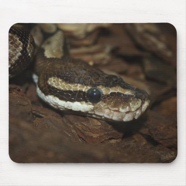 Brown Carpet Python Mouse Pad (Front)