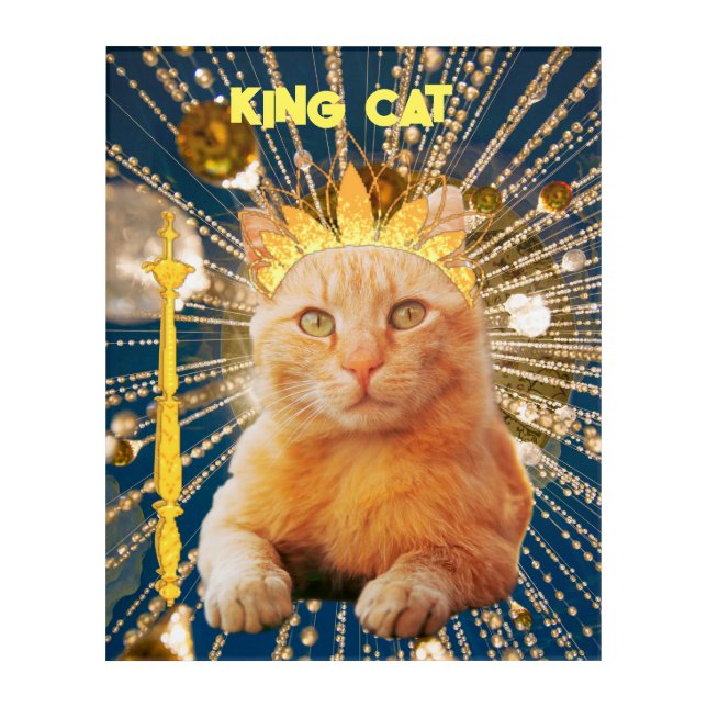 Brown Cat Funny Pet Lovers Cool Artistic Artwork Acrylic Print (Front)