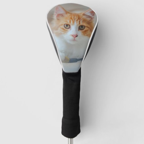 Brown Cat  Golf Head Cover