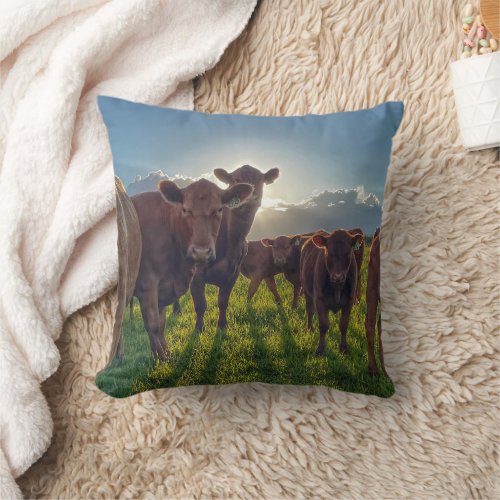Brown Cattle in Pasture Throw Pillow