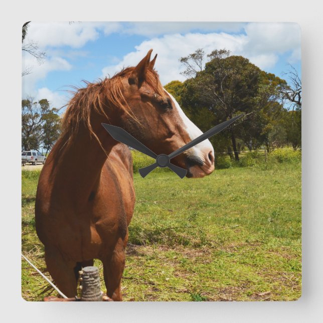 Brown Chestnut Horse Needs Hairdryer, Square Wall Clock (Front)