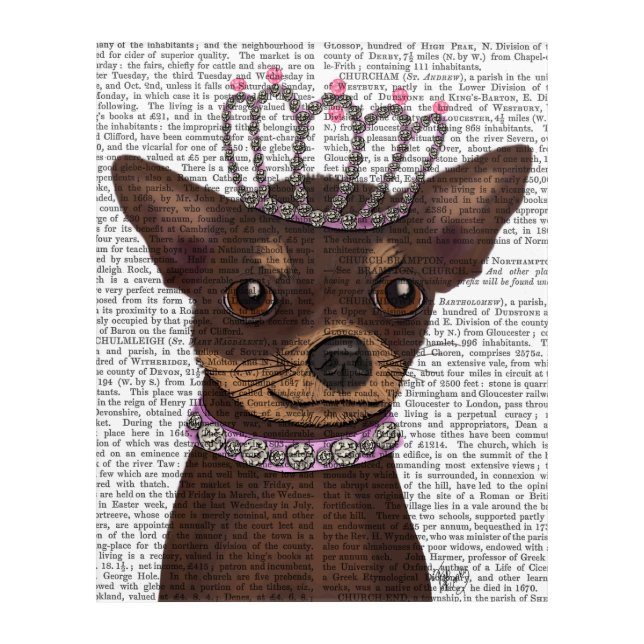 Brown Chihuahua And Tiara Acrylic Print (Front)