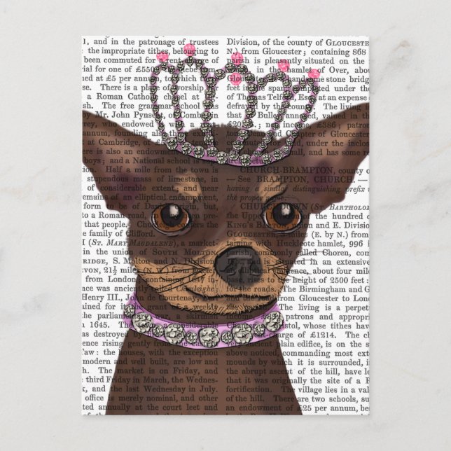Brown Chihuahua And Tiara Postcard (Front)