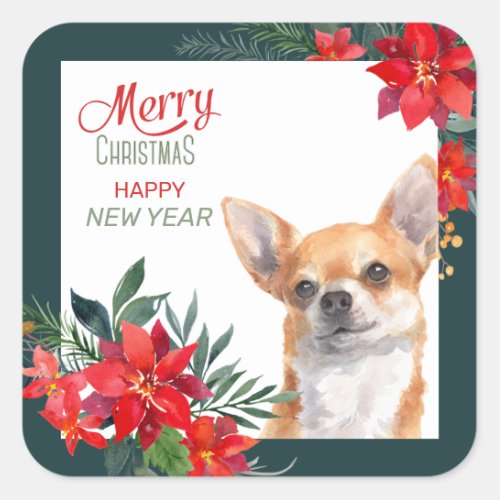 Brown Chihuahua Dog Poinsettia Border Christmas Square Sticker