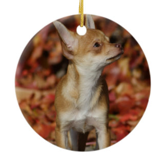 Brown Chihuahua Puppy Ceramic Ornament