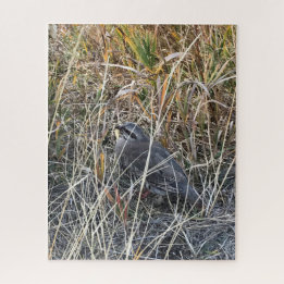 Brown Chukar Partridge almost hidden Jigsaw Puzzle