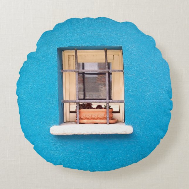 BROWN CLAY POT ON WINDOW ROUND PILLOW (Front)