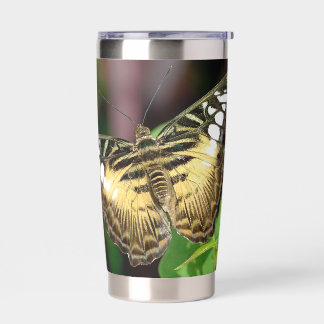 Brown Clipper Butterfly in the Jungle Insulated Tumbler